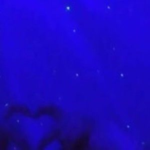 Meet your Posher, Adriana